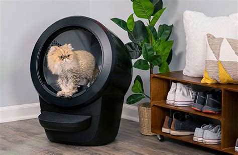 litter robot 4 reconditioned reddit  It's used for regular